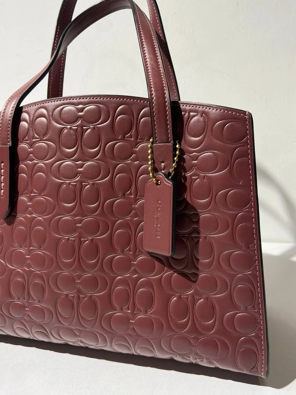 Coach Signature Tote Bag