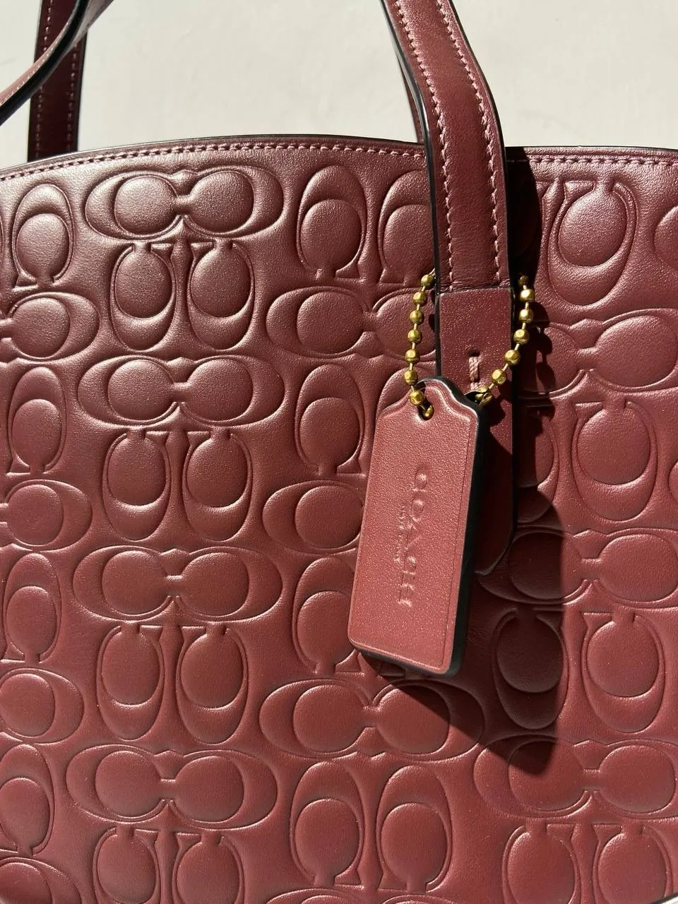 Coach Signature Tote Bag