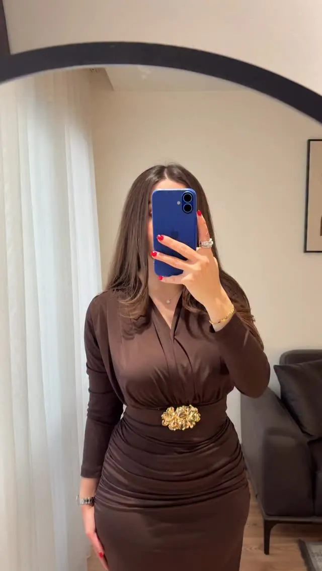 Brown Long-Sleeve Dress with Gold Belt