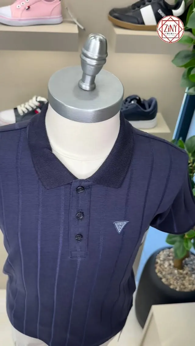 Tommy Hilfiger Polo Shirt