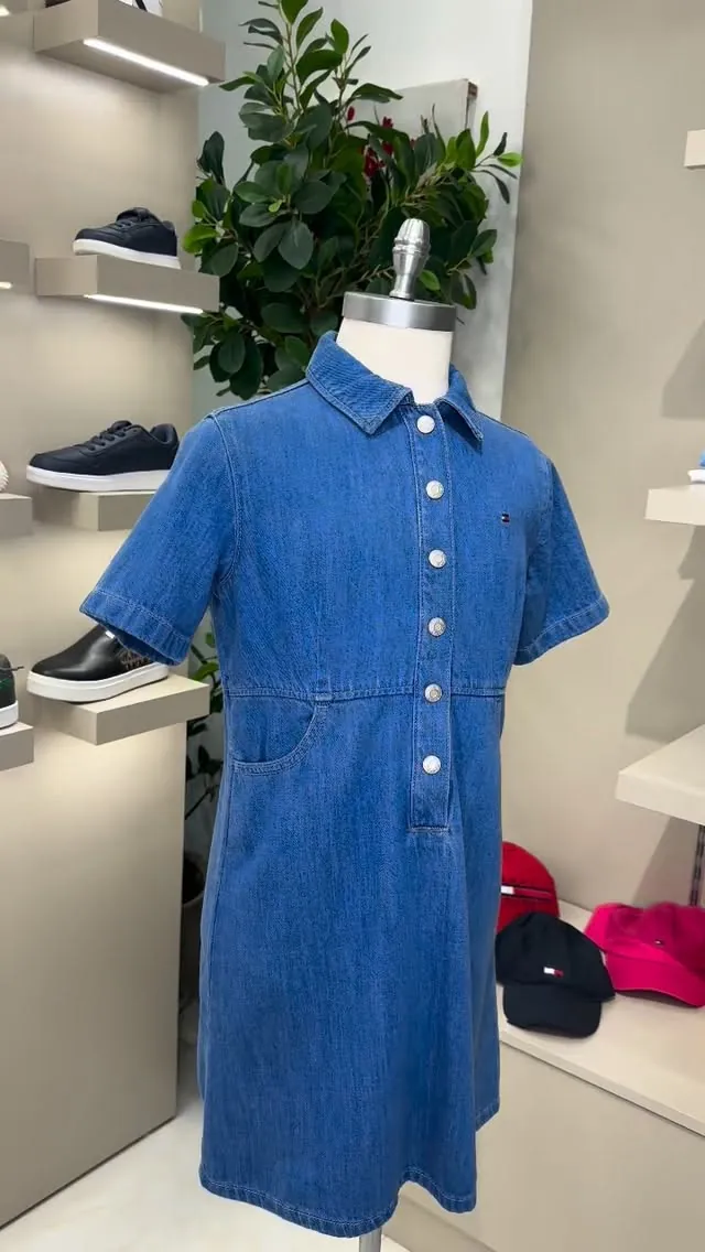 Blue Denim Dress