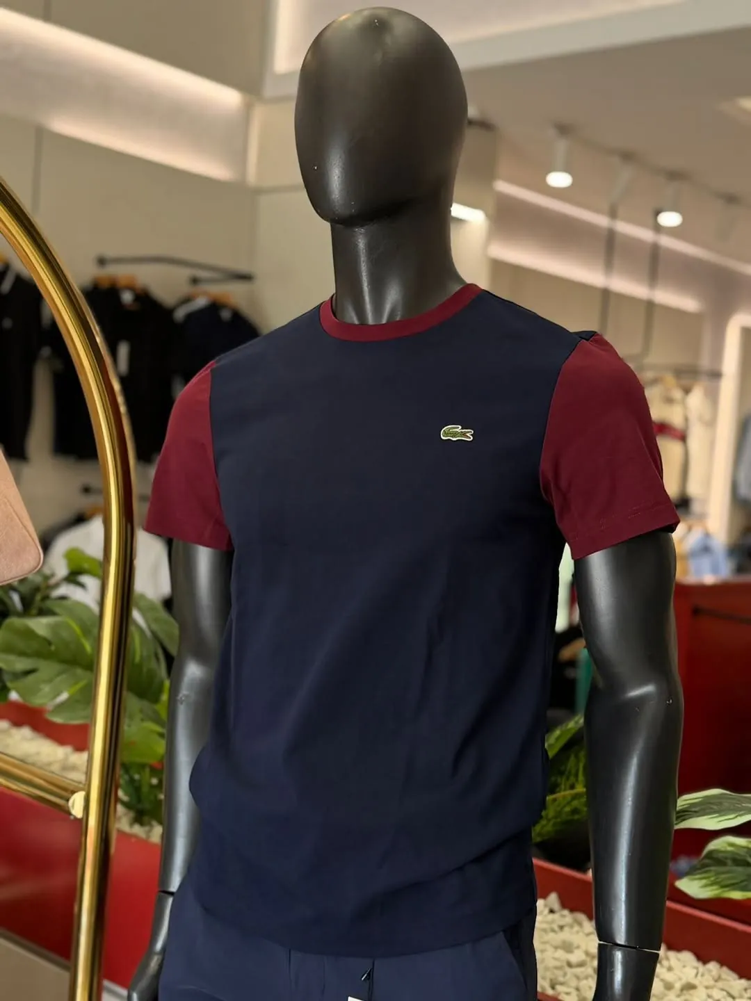 Lacoste Men's T-Shirt