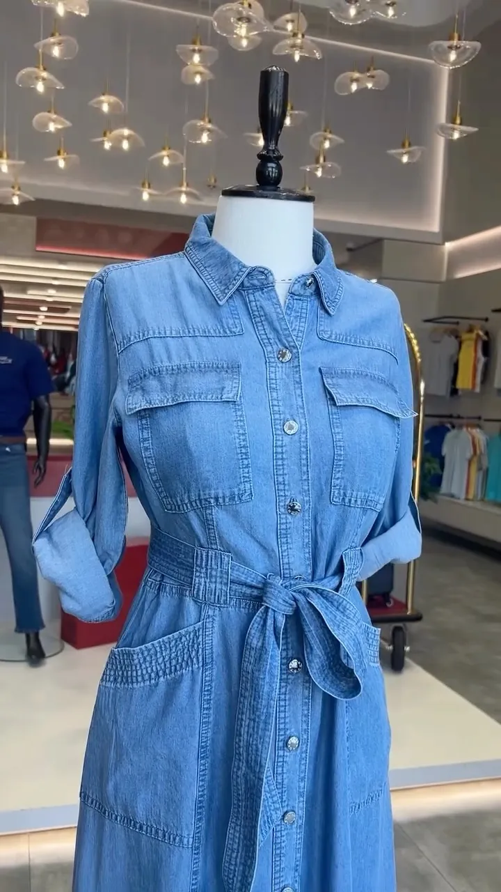 American Brand Denim Dress
