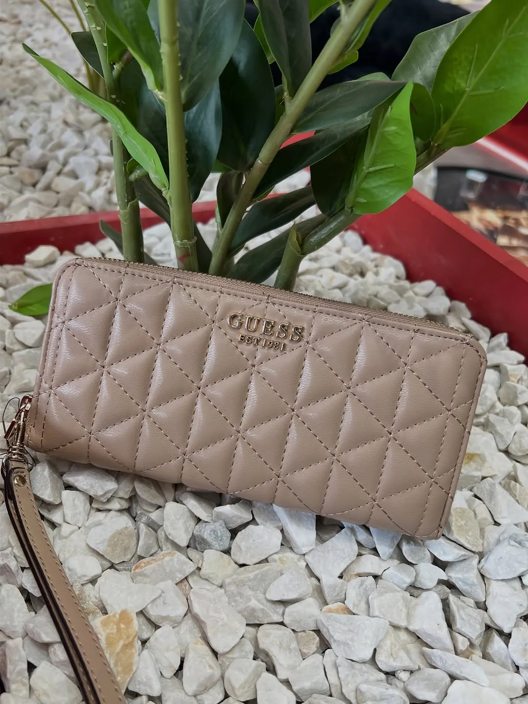 Guess Wallet