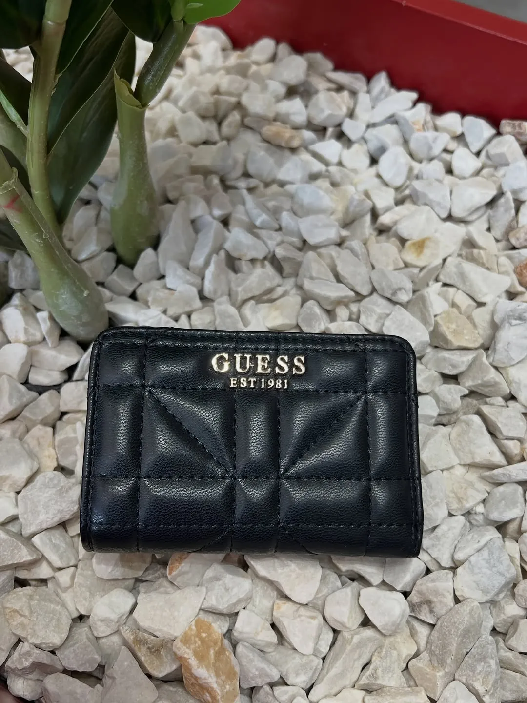 Guess Wallet