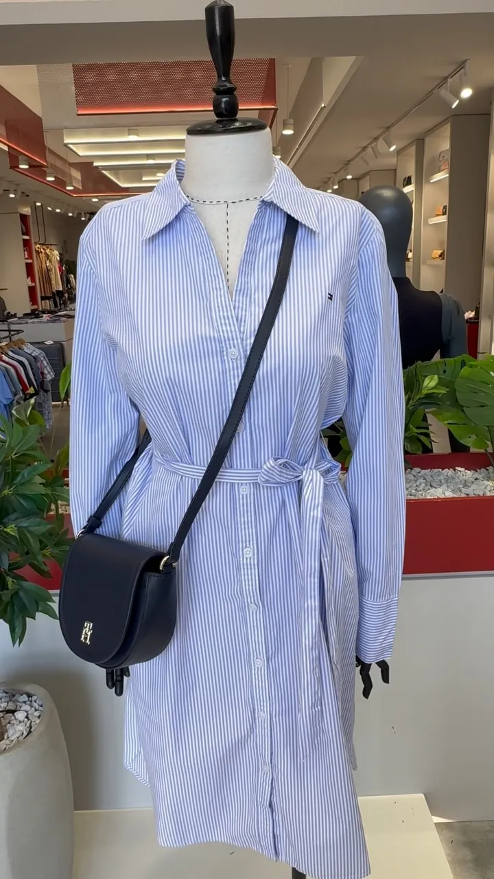 Striped Button-Down Dress